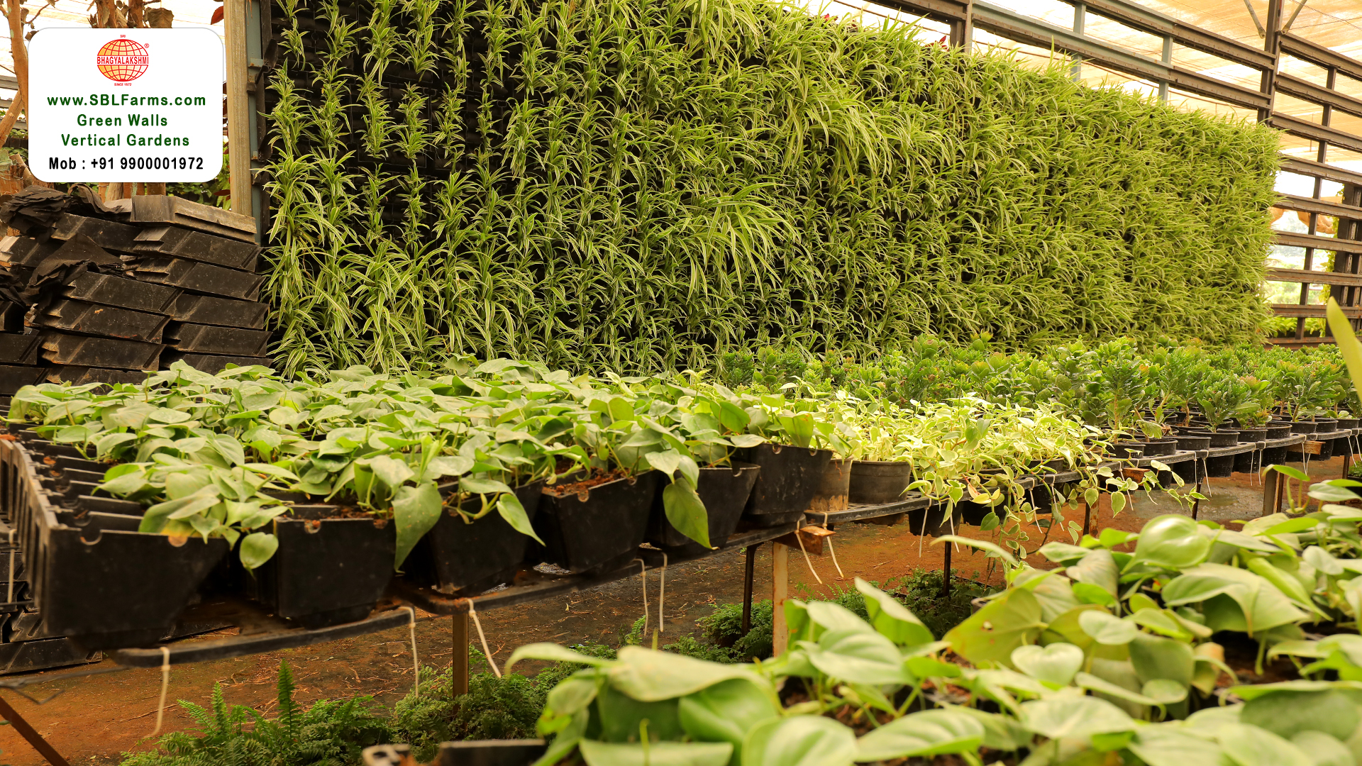 Sbl Farms Green walls and Living walls, Vertical Garden, Bio Curtains